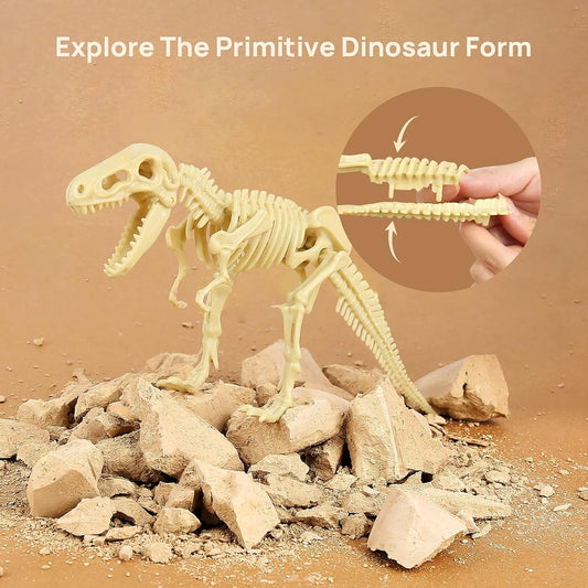 Dinosaur Model Kit (Large Size)
