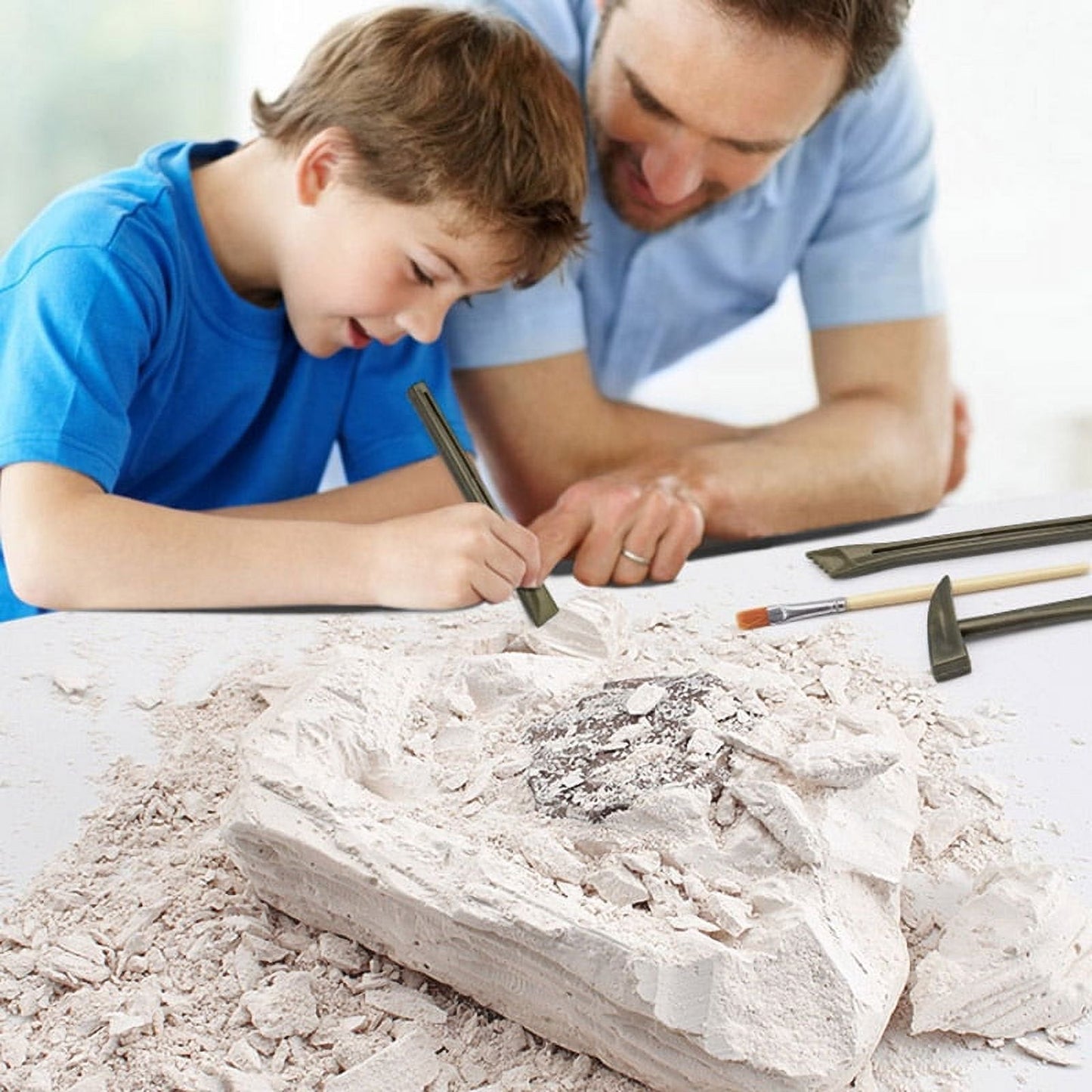 Dinosaur Model Kit (Large Size)